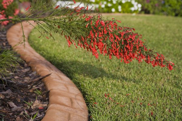 Brick Edging in Downingtown